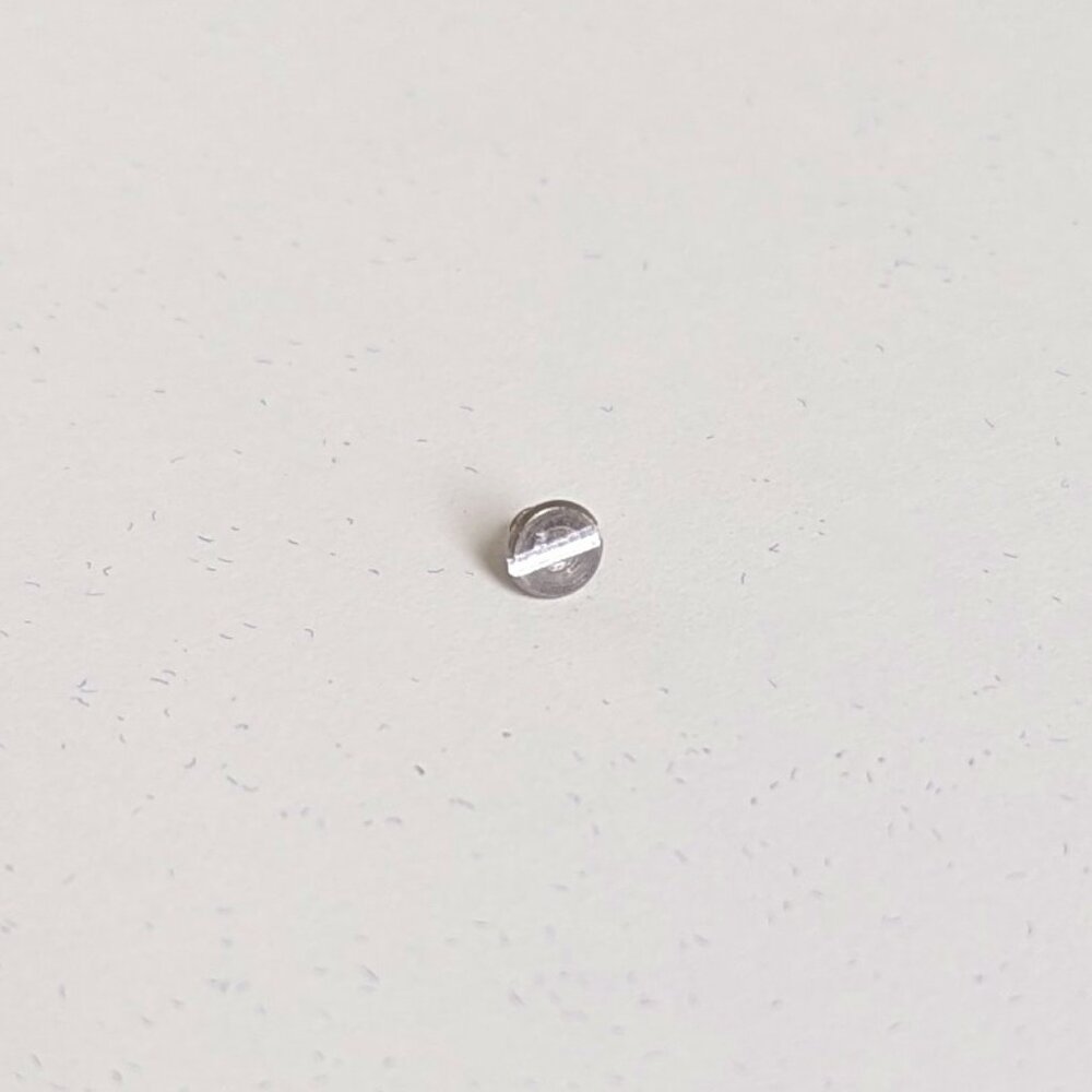 Replacement Screw for Charles Revson The Love Bracelet + Other Brands